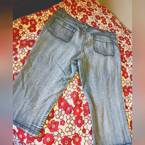{Crest} Capri Jeans Stretch Distressed, Size 23/24 - Picture 4 of 14